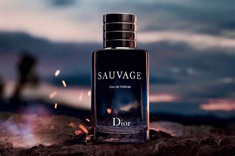 suave dior perfume|notes of Dior sauvage parfum.